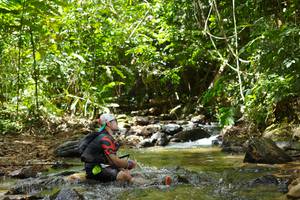 BIB: 
                            <button type="button" onclick="openModal(21841419)" class="btn btn-primary btn-sm float-right btn-popup" data-toggle="modal" data-target=".modal-high-quality">
                        <i class="fas fa-shopping-cart"></i> Add to Cart
                    </button>
                                            <button type="button" onclick="isThisMe(21841419, true)" class="btn btn-success btn-sm float-right btn-popup btn-isme hidden" data-toggle="tooltip" data-placement="bottom" title="นี่คือรูปของคุณใช่ไหม คลิกที่นี่เพื่อเอาเข้าอัลบั้ม">
                        <i class="fas fa-plus"></i> Add to album
                    </button>
                    <button type="button" onclick="isThisMe(21841419, false)" class="btn btn-warning btn-sm float-right btn-popup btn-isnotme hidden">
                        <i class="fas fa-ban"></i> Remove from album
                    </button>